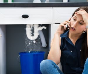About Emergency plumbing pros Lavinia, TN